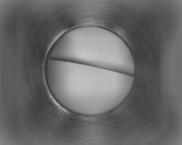 X0000067481476200604211620