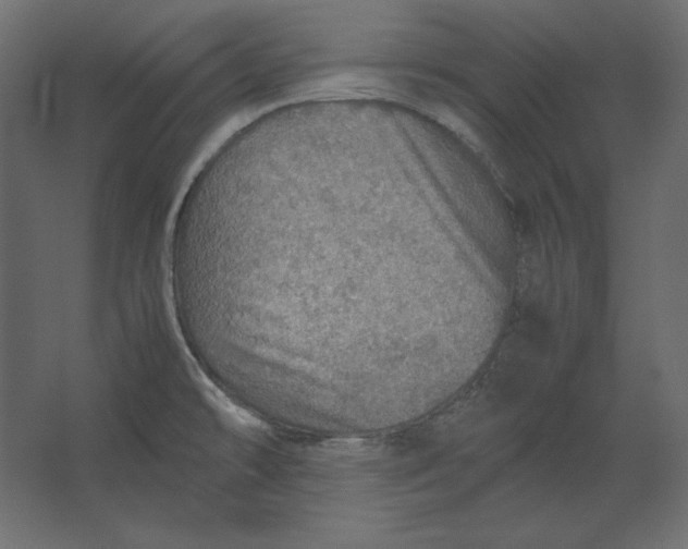 X0000067481478200604211620