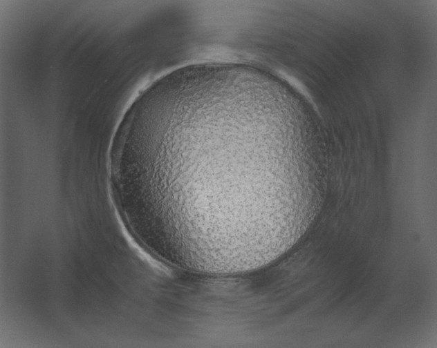 X0000067481479200604211620