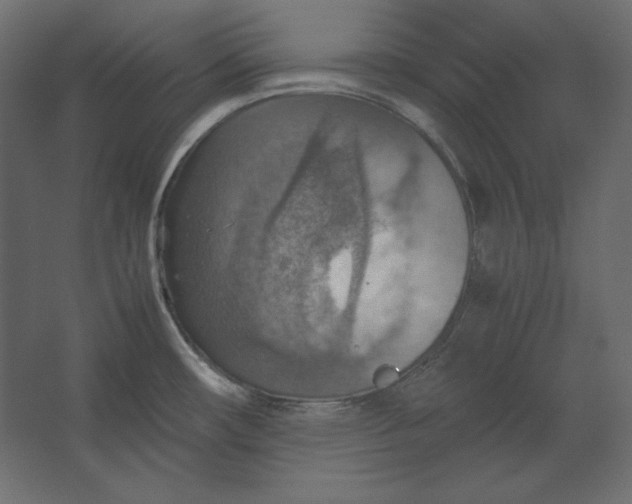 X0000067481482200604211620