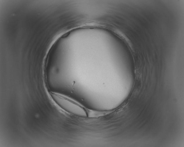 X0000067481483200604211620