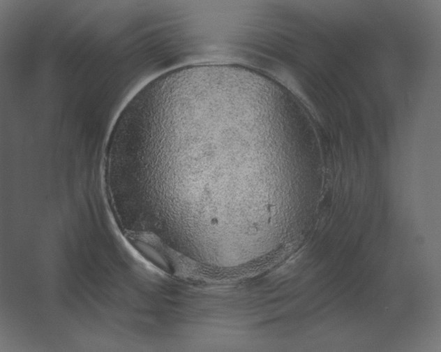 X0000067481484200604211620