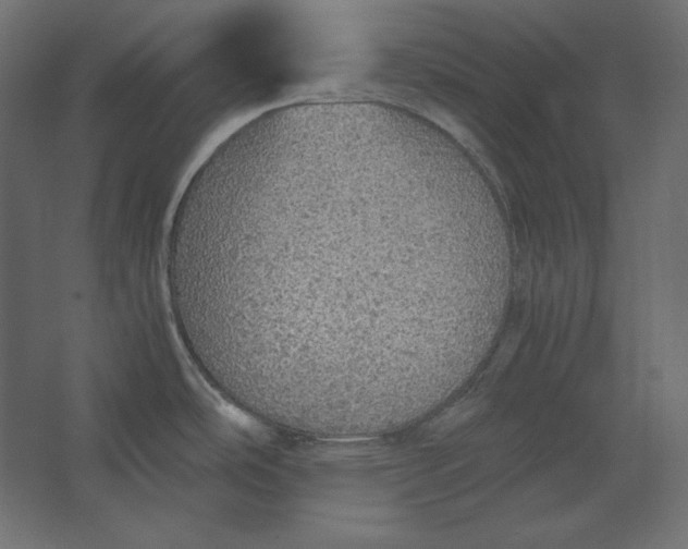 X0000067481486200604211620