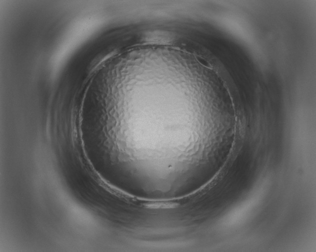 X0000067481487200604211620