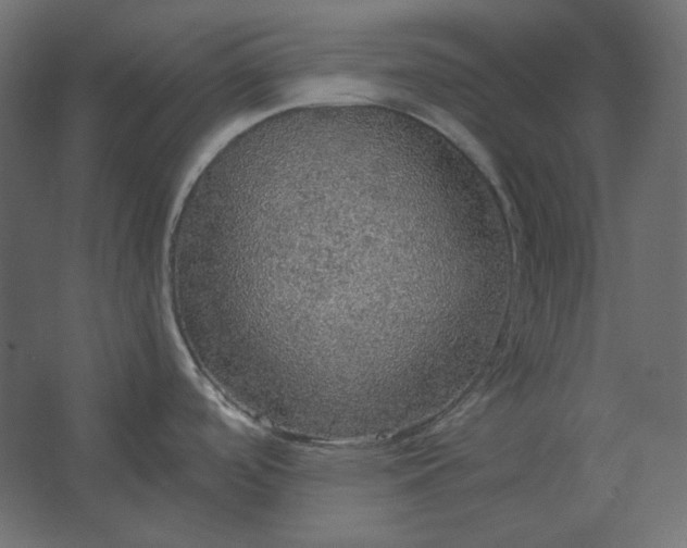 X0000067481488200604211620