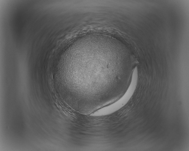 X0000067481489200604211619