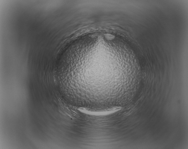 X0000067481490200604211619