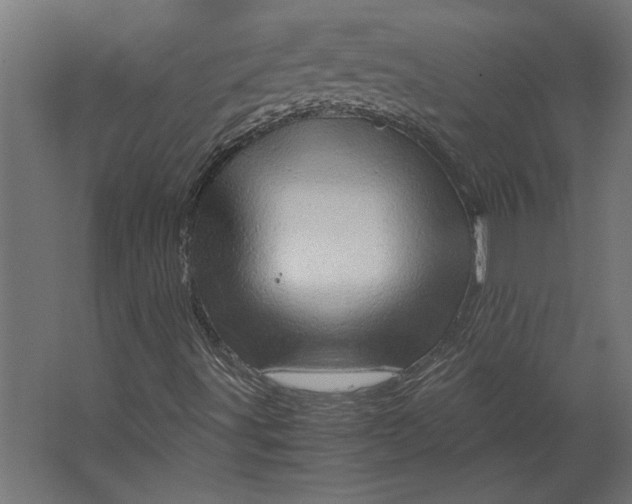 X0000067481491200604211619