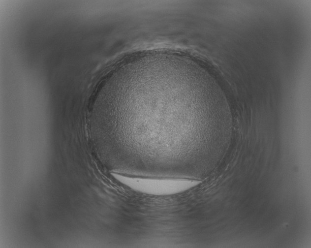 X0000067481493200604211619