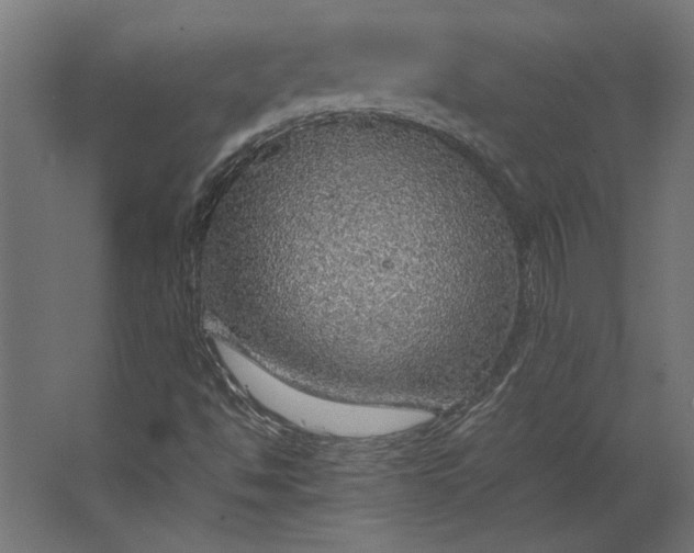 X0000067481494200604211619