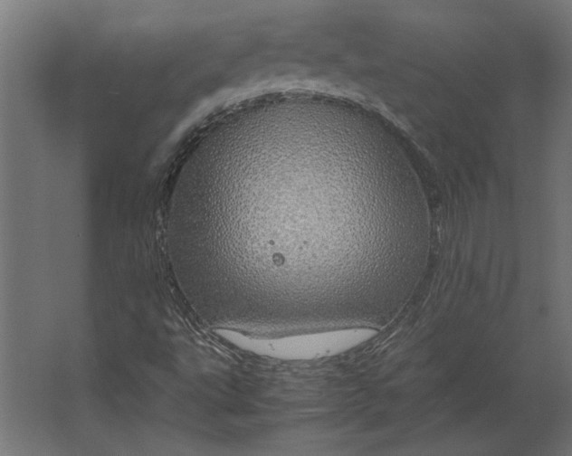 X0000067481495200604211619