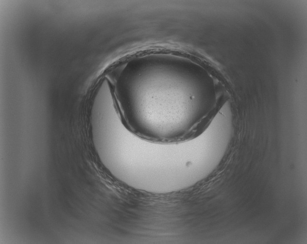 X0000067481496200604211619