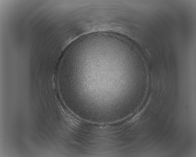 X0000067481497200604211619