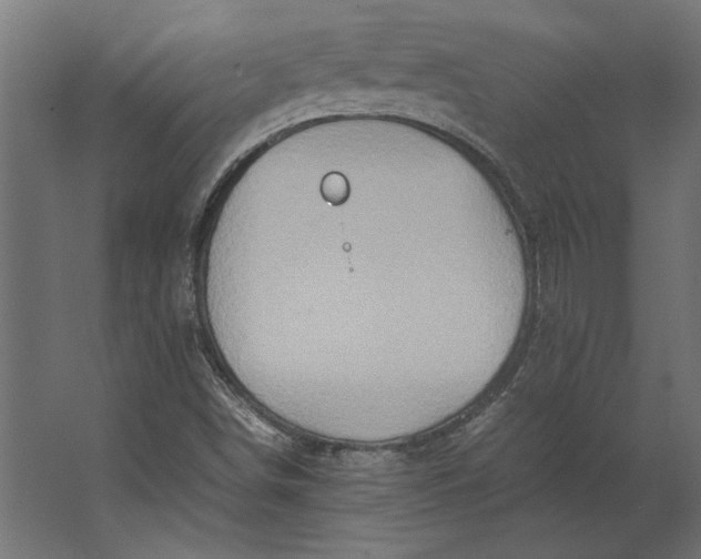 X0000067481498200604211619