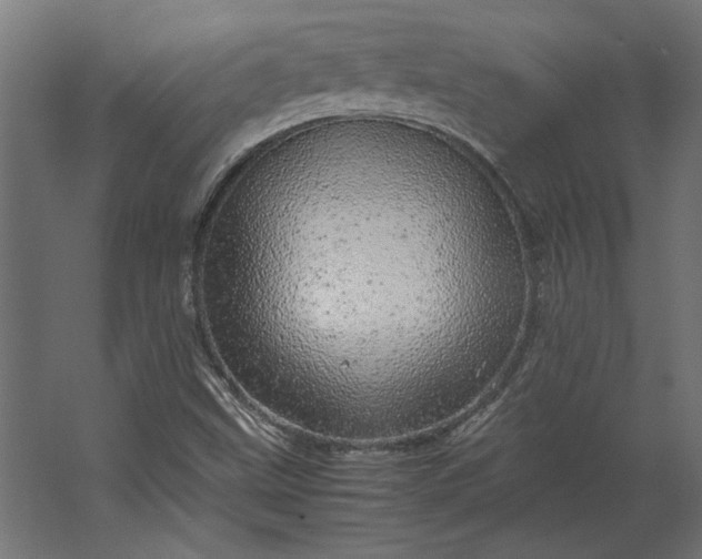 X0000067481499200604211619