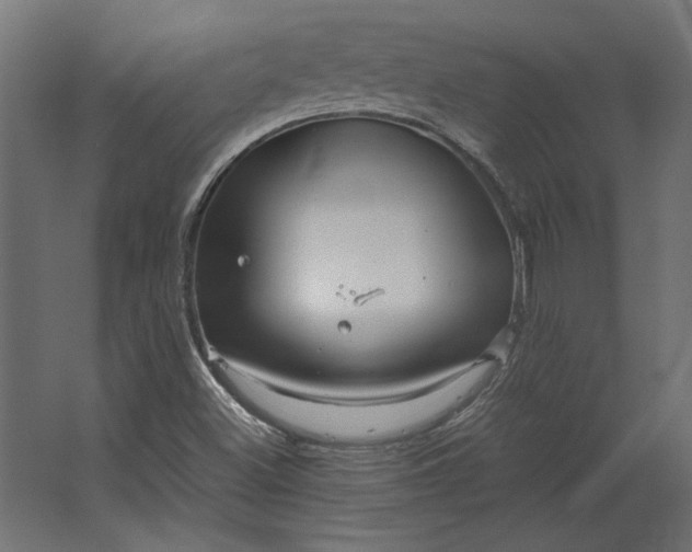 X0000067481500200604211619