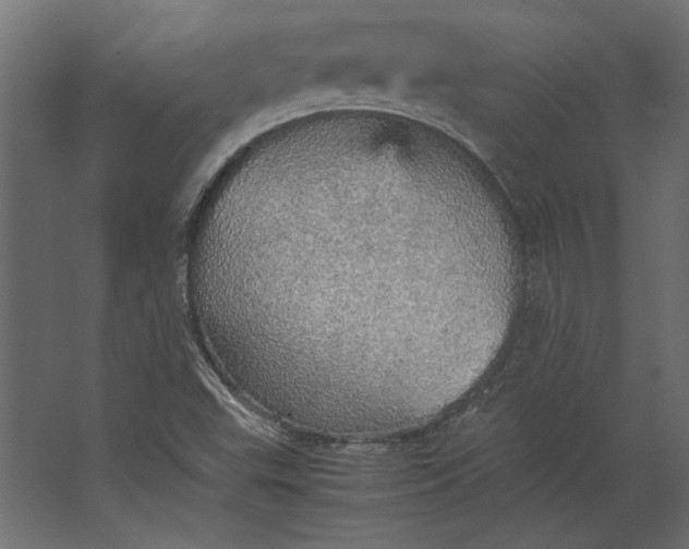 X0000067481503200604211619