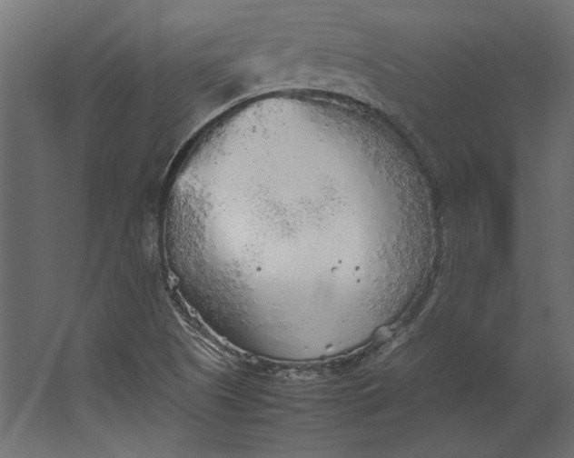 X0000067481505200604211619