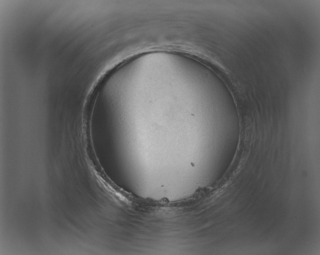 X0000067481506200604211619