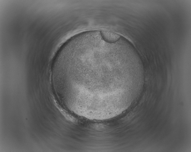 X0000067481507200604211619