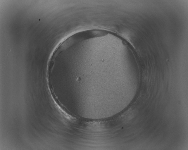 X0000067481508200604211619