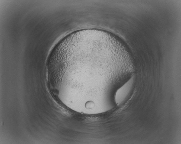 X0000067481509200604211619