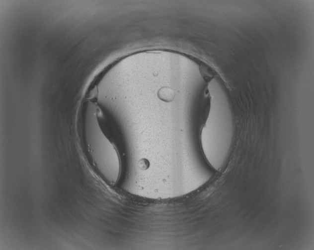 X0000067481510200604211619