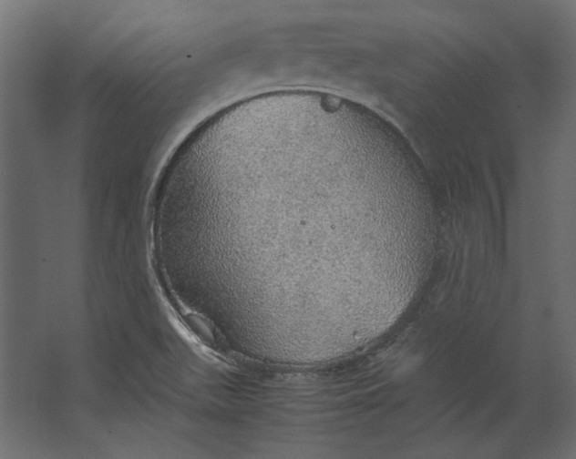 X0000067481511200604211619