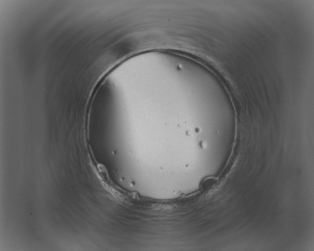 X0000067481513200604211619