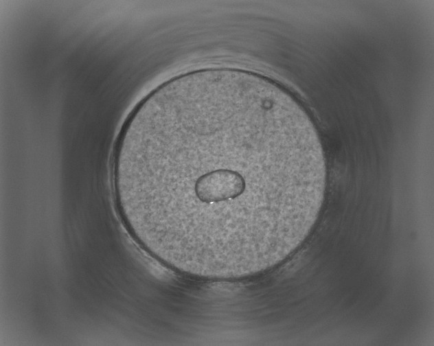 X0000067481514200604211619