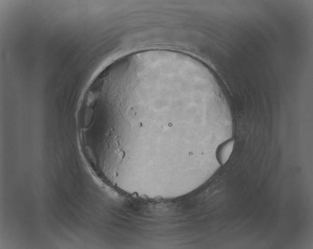 X0000067481515200604211619