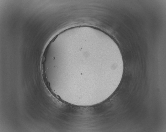 X0000067481516200604211619