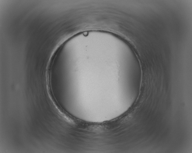 X0000067481517200604211619