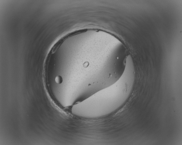 X0000067481518200604211619