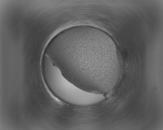 X0000067481519200604211619