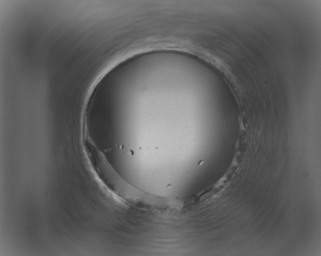 X0000067481520200604211619