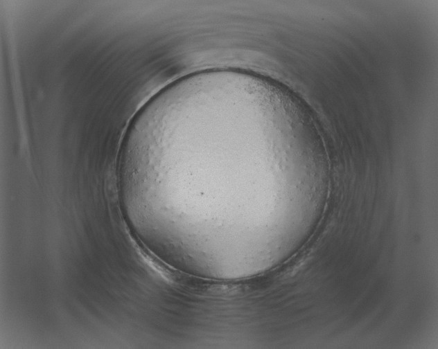 X0000067481521200604211620