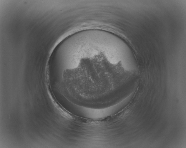 X0000067481522200604211620