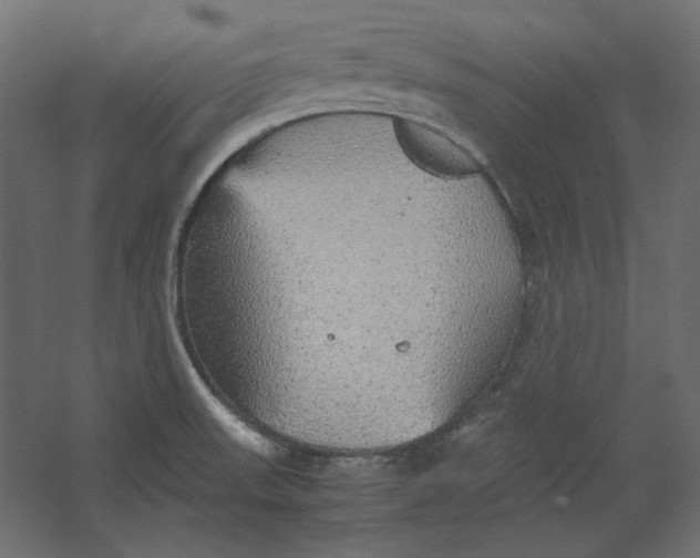 X0000067481523200604211620