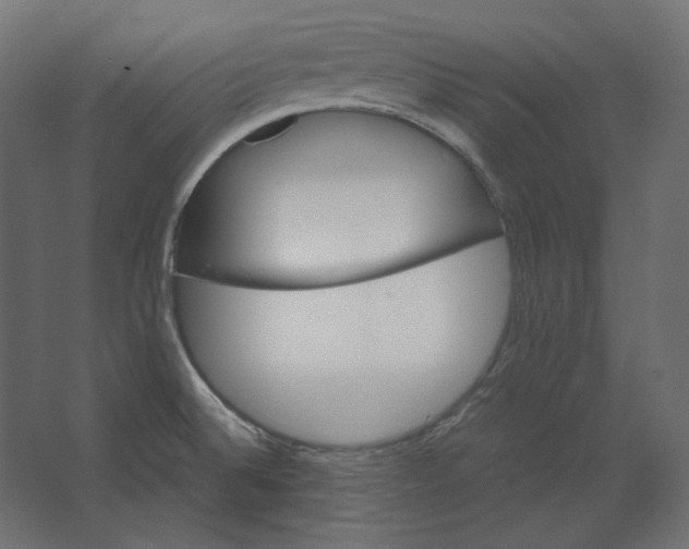 X0000067481524200604211620