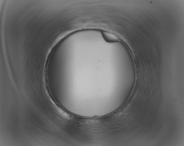 X0000067481525200604211620