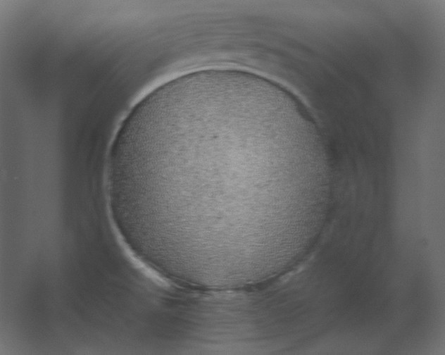 X0000067481526200604211620