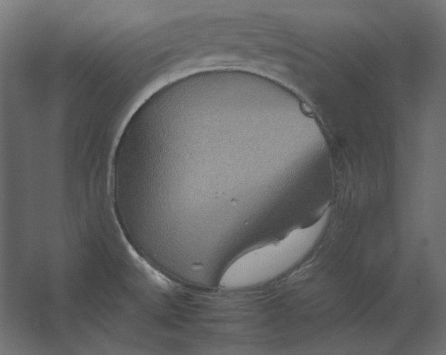 X0000067481527200604211620