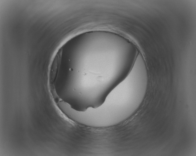 X0000067481528200604211620