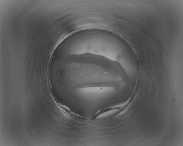 X0000067481529200604211620