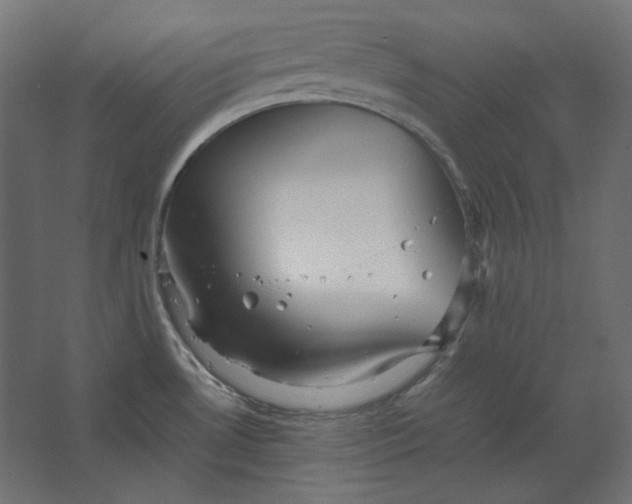 X0000067481530200604211620