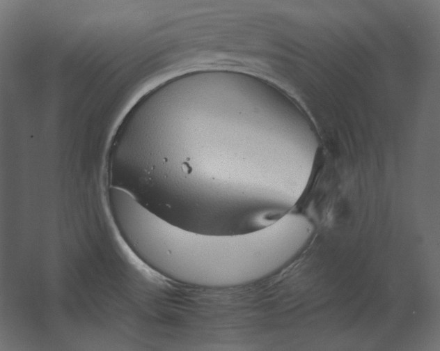 X0000067481531200604211620