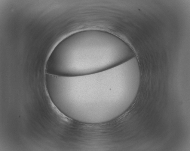 X0000067481532200604211620