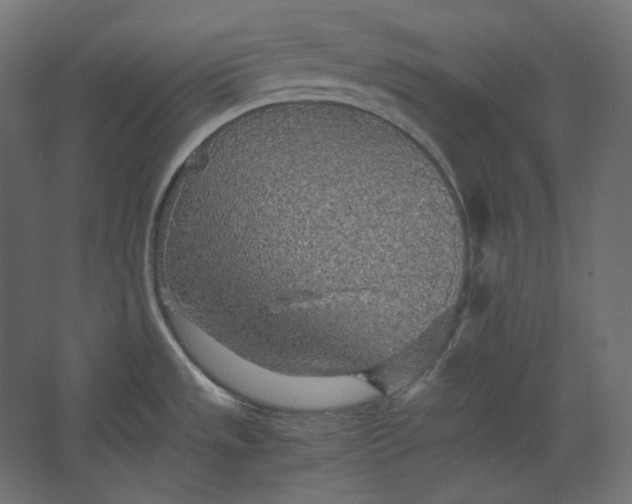 X0000067481533200604211620