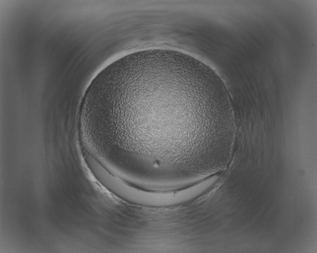 X0000067481534200604211620